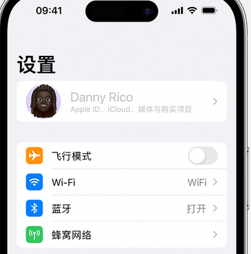 颍东appleID维修服务iPhone设置中Apple ID显示为灰色无法使用