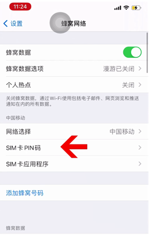 颍东苹果14维修网分享如何给iPhone14的SIM卡设置密码 