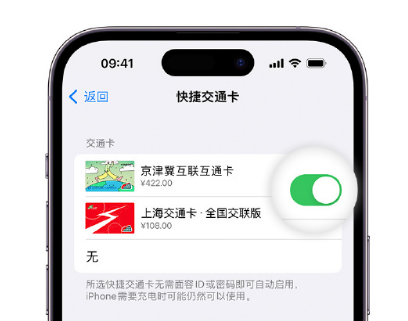 颍东apple维修点分享iPhone上更换Apple Pay快捷交通卡手绘卡面 