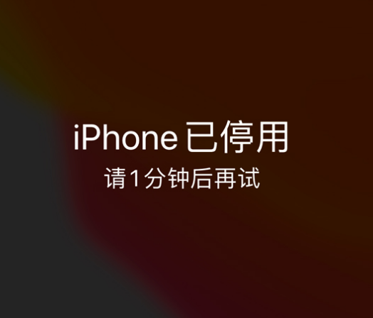 颍东苹果手机维修分享:iPhone 显示“不可用”或“已停用”怎么办？还能保留数据吗？ 