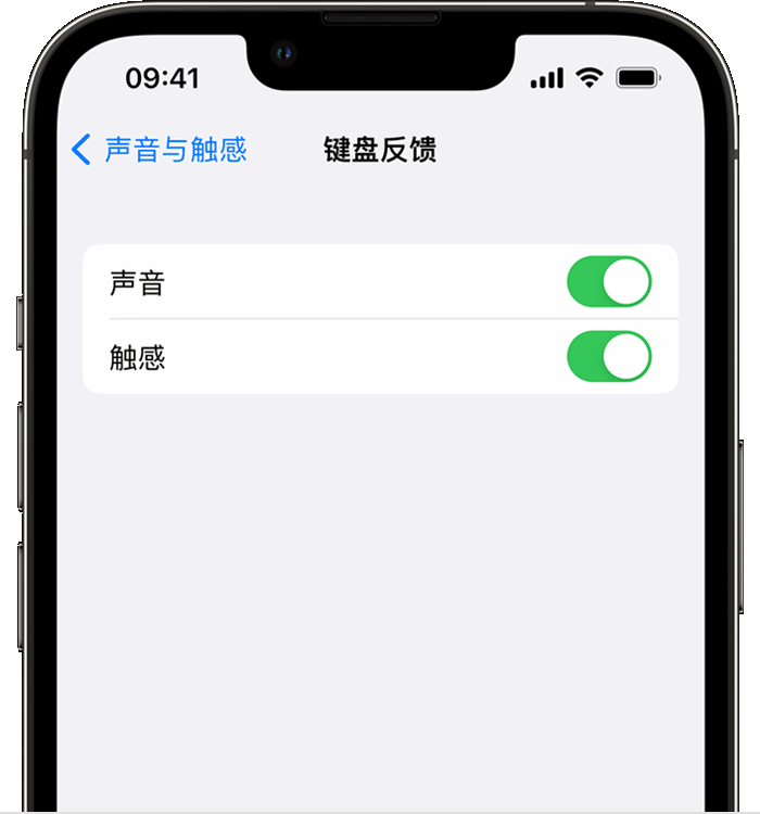 颍东苹果14维修店分享如何在 iPhone 14 机型中使用触感键盘 