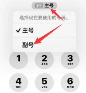 颍东苹果14维修店分享iPhone 14 Pro Max使用副卡打电话的方法 