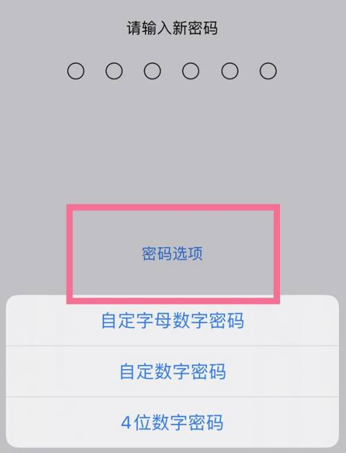 颍东苹果14维修分享iPhone 14plus设置密码的方法 