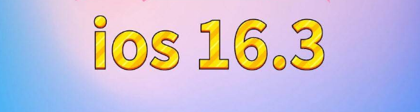 颍东苹果服务网点分享苹果iOS16.3升级反馈汇总 
