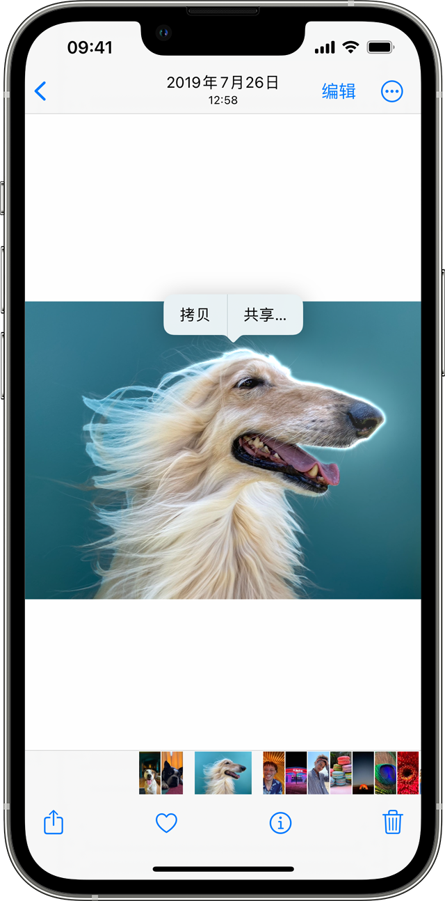 颍东苹果服务网点分享iOS 16 “一键抠图”功能支持哪些机型？ 