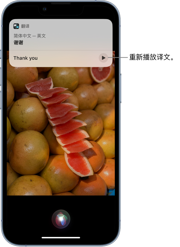 颍东苹果14维修分享 iPhone 14 机型中使用 Siri：了解 Siri 能帮你做什么 