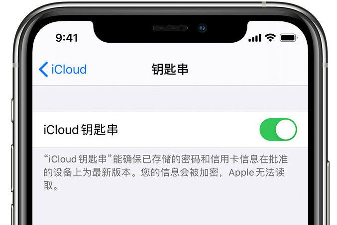 颍东苹果手机维修分享在 iPhone 上开启 iCloud 钥匙串之后会储存哪些信息 