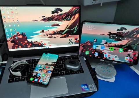 颍东苹果手机维修分享为什么iPad屏幕更大价格却比iPhone低 
